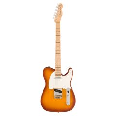 Guitarra Fender® American Performer Timber Telecaster®, Maple Fingerboard, Honey Burst