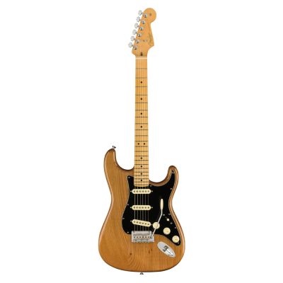 Stratocaster_Maple_Roasted_Pine_5.jpg